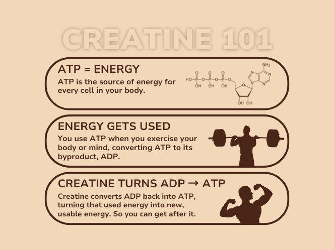 The Science Behind Creatine